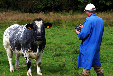 agriculteur et buffle