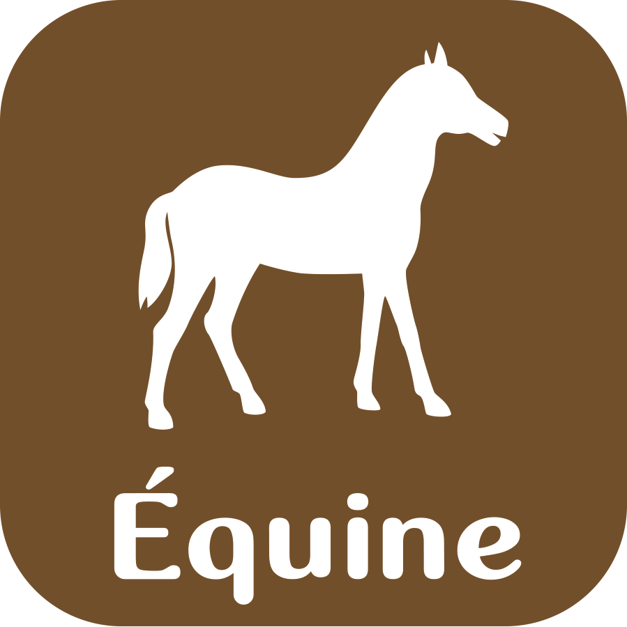 logo equine